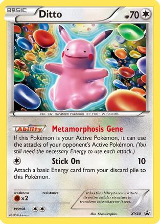 Ditto (XY40)/211 Promo Holofoil