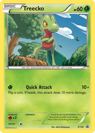 Treecko - XY36/211 Promo Holofoil