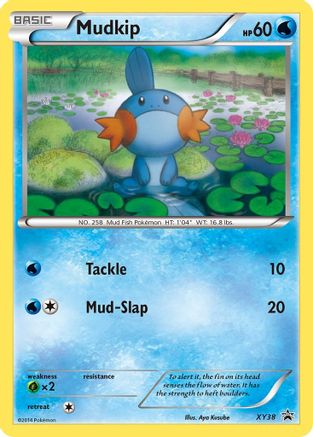 Mudkip - XY38/211 Promo Holofoil