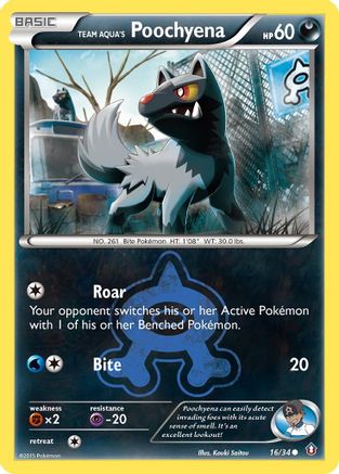 Team Aqua's Poochyena (16)/34 Common