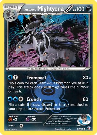 Team Aqua's Mightyena (18)/34 Common