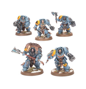 Warhammer: 40,000 Space Wolves: Wolf Terminators