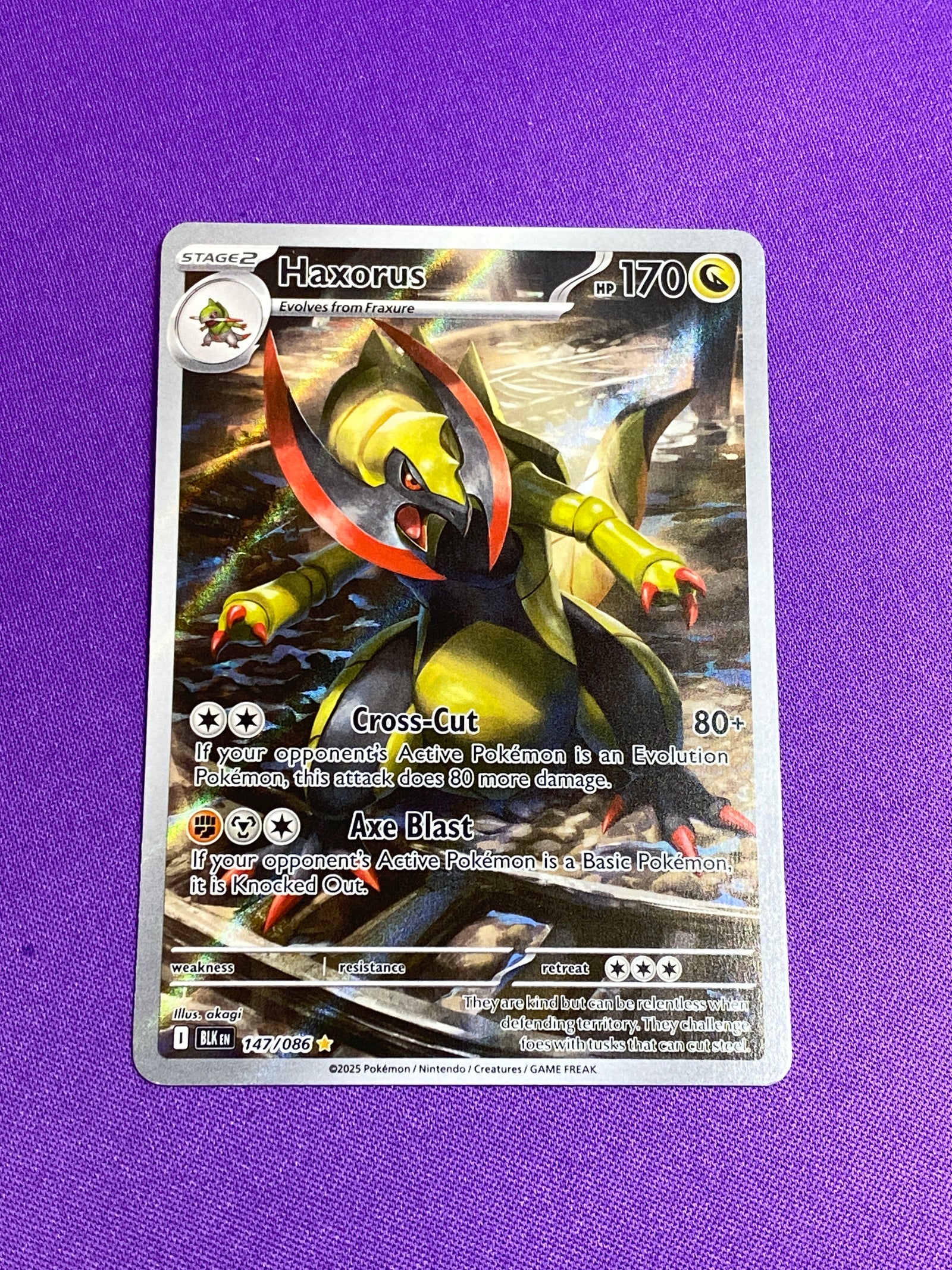 Haxorus - 147/086 (147) Illustration Rare Holofoil (Cabinet-NM)