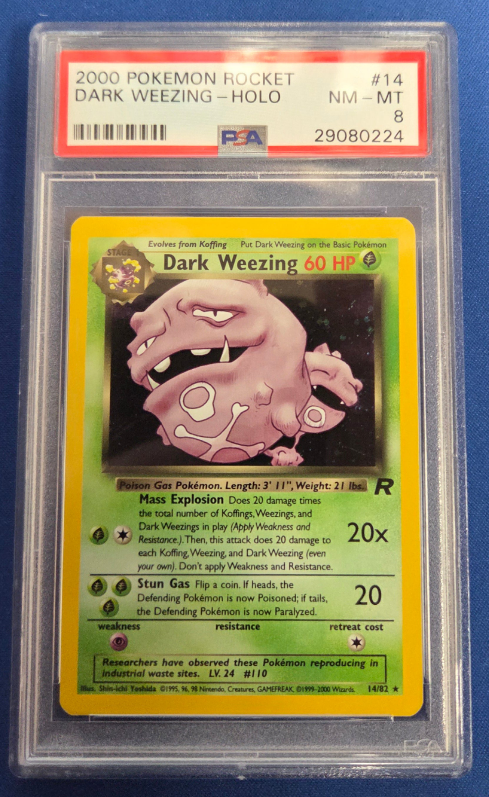 Dark Weezing PSA 8 (14)/82 Holo Rare Unlimited Holofoil (Cabinet)