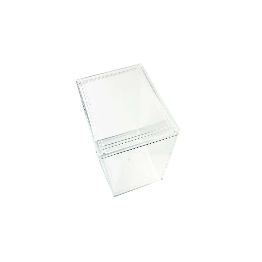 Pather Clear Protective Display Case for Funko