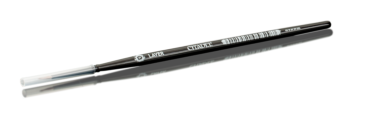 Citadel S Layer