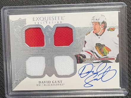 exquisite collection David Gust 2023-2024 FL-DG 15/49 (cabinet)