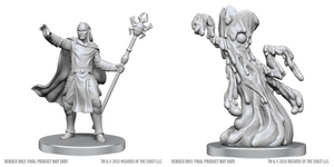 DND Unpainted Minis WV28 Drow Mage & Yochlol