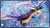 UP Playmat MTG Return To Tarkir Mardu  Black Stitched