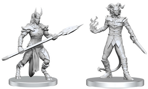 PF Unpainted Minis WV27 Vordine & Pitborn Rouge