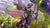 MTG UP Playmat Edge of Eternities Commander B