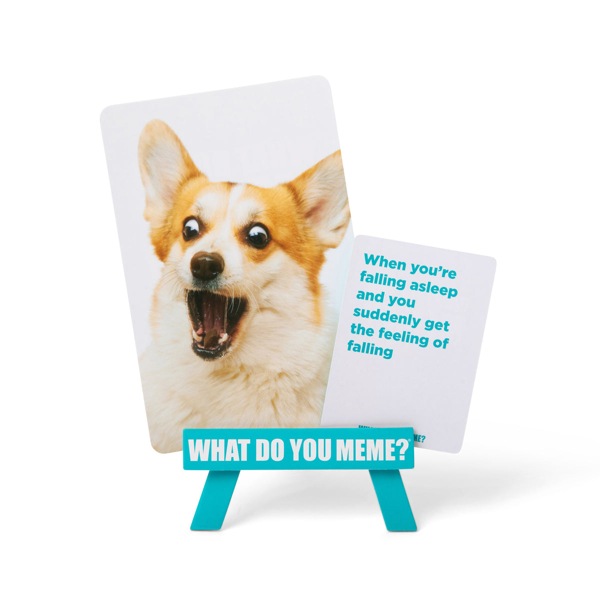 What Do You Meme: Family Edition