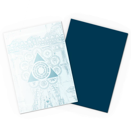 Dragon Shield Sleeves MTG Matte Duel Guildpact Azorious Senate 100ct