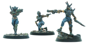 Fallout: Wasteland Warfare: Raiders Disciples Leader