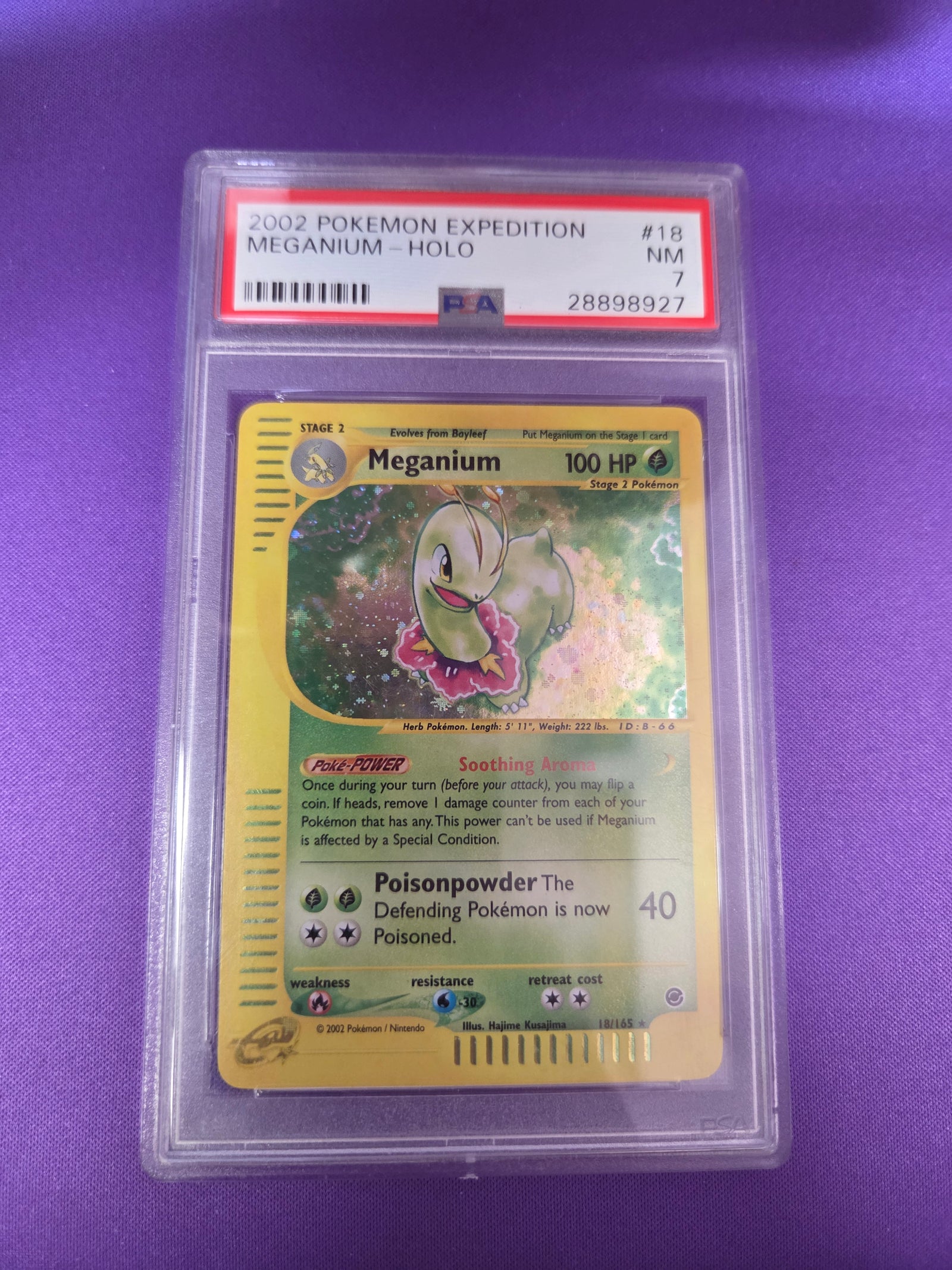 PSA 7 Meganium #18 Expedition Holo