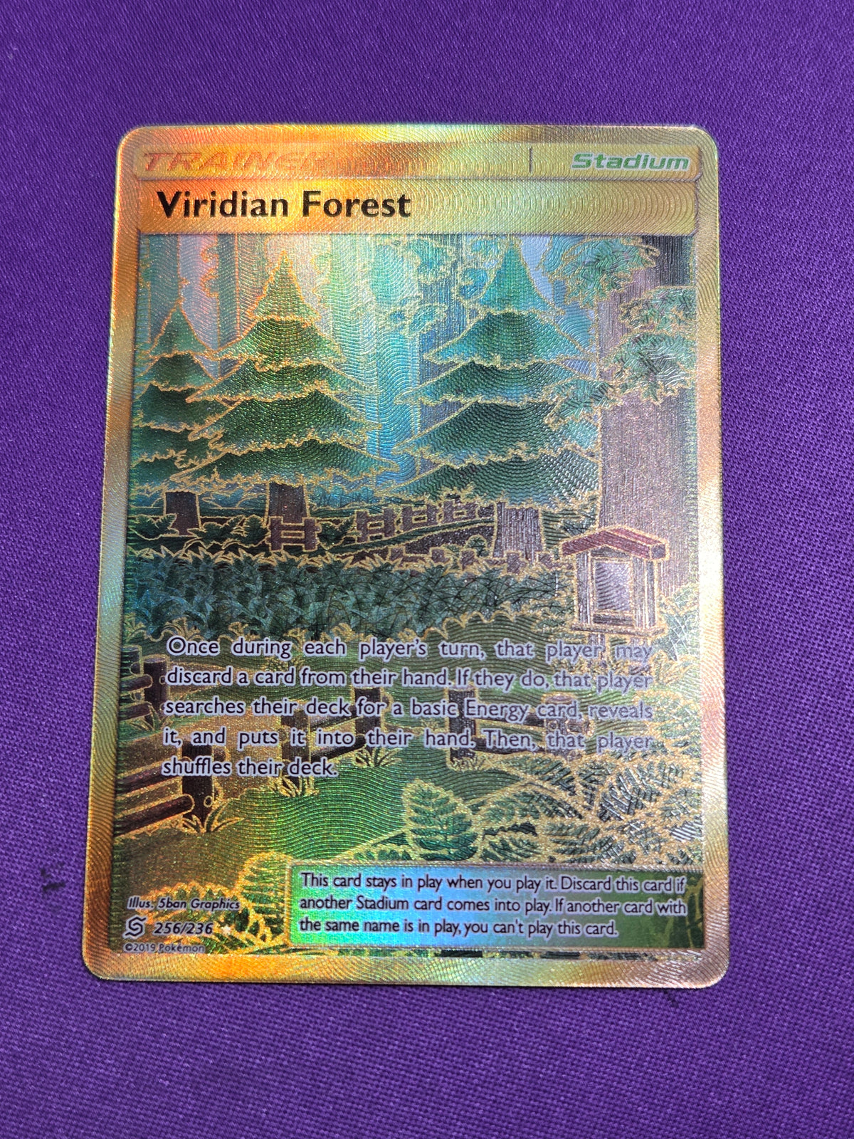 Viridian Forest (Secret) (256)/236 Secret Rare Holofoil (Cabinet-NM)