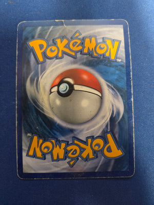 Heavily Played Rayquaza (14)/146 Holo Rare Holofoil (Cabinet-HP)