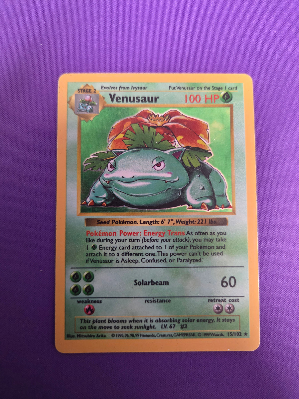 Moderately Played Venusaur #15 Shadowless Base Set (Cabinet-MP)
