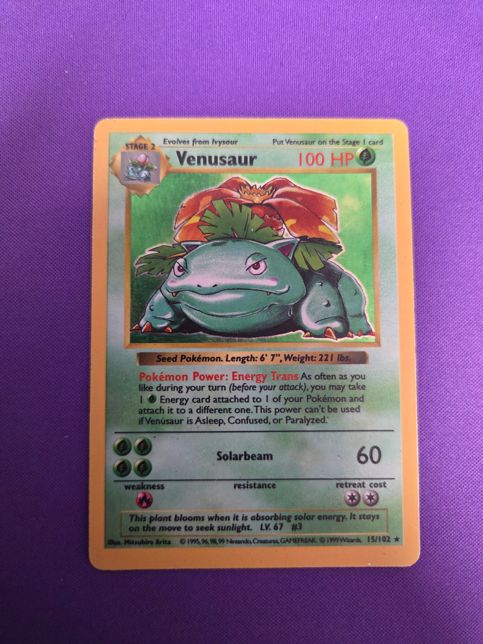 Moderately Played Venusaur #15 Shadowless Base Set (Cabinet-MP)