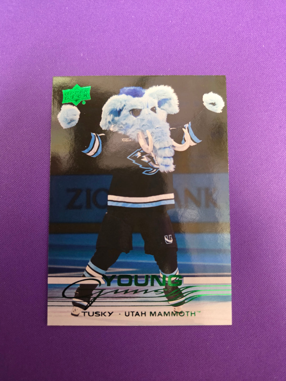 Tusky (Holiday) Young Guns #498  (cabinet-NM)