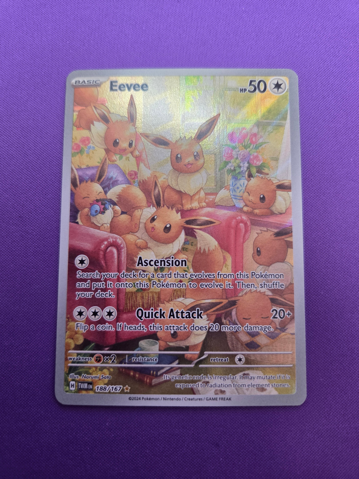 Eevee - 188/167 Illustration Rare Holofoil (Cabinet-NM)