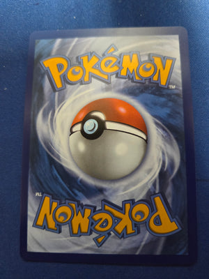 Mega Zygarde ex - 120/088 (120) Special Illustration Rare Holofoil (Cabinet-NM)