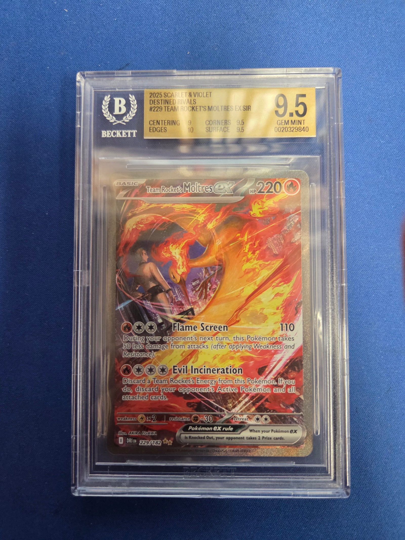 Beckett 9.5 Moltres #229 Destined Rivals SIR (Cabinet)