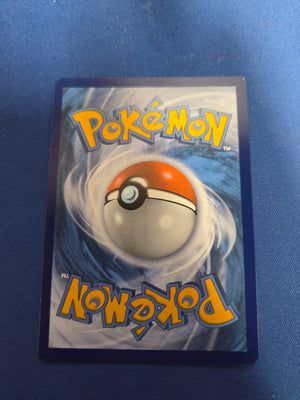 Pikachu & Zekrom GX - SM248 (SM248)/248 Promo Holofoil (Cabinet-NM)