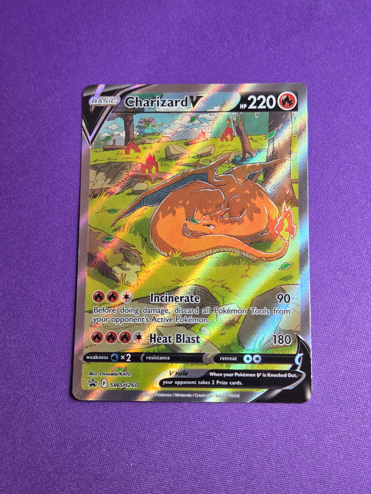 Charizard V (SWSH260)/307 Promo Holofoil (Cabinet-NM)