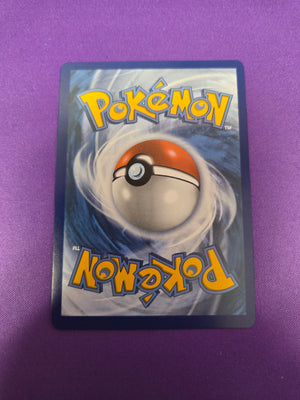 Mega Charizard Y ex - 294/217 Mega Hyper Rare Holofoil (Cabinet-NM)