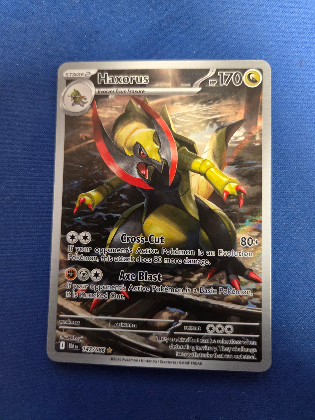 Haxorus - 147/086 (147) Illustration Rare Holofoil (Cabinet-NM)