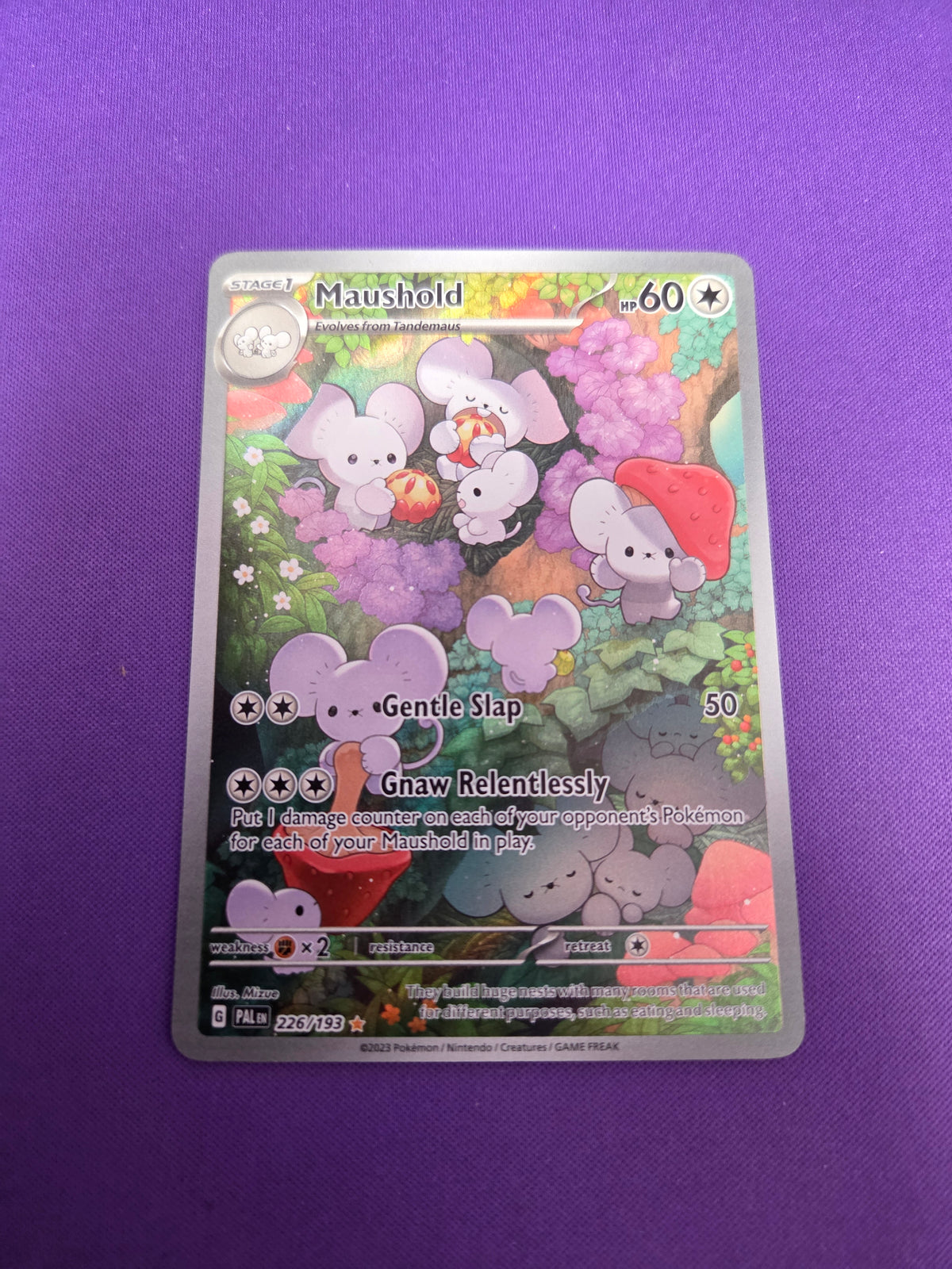 Maushold - 226/193 (226) Illustration Rare Holofoil (Cabinet-NM)