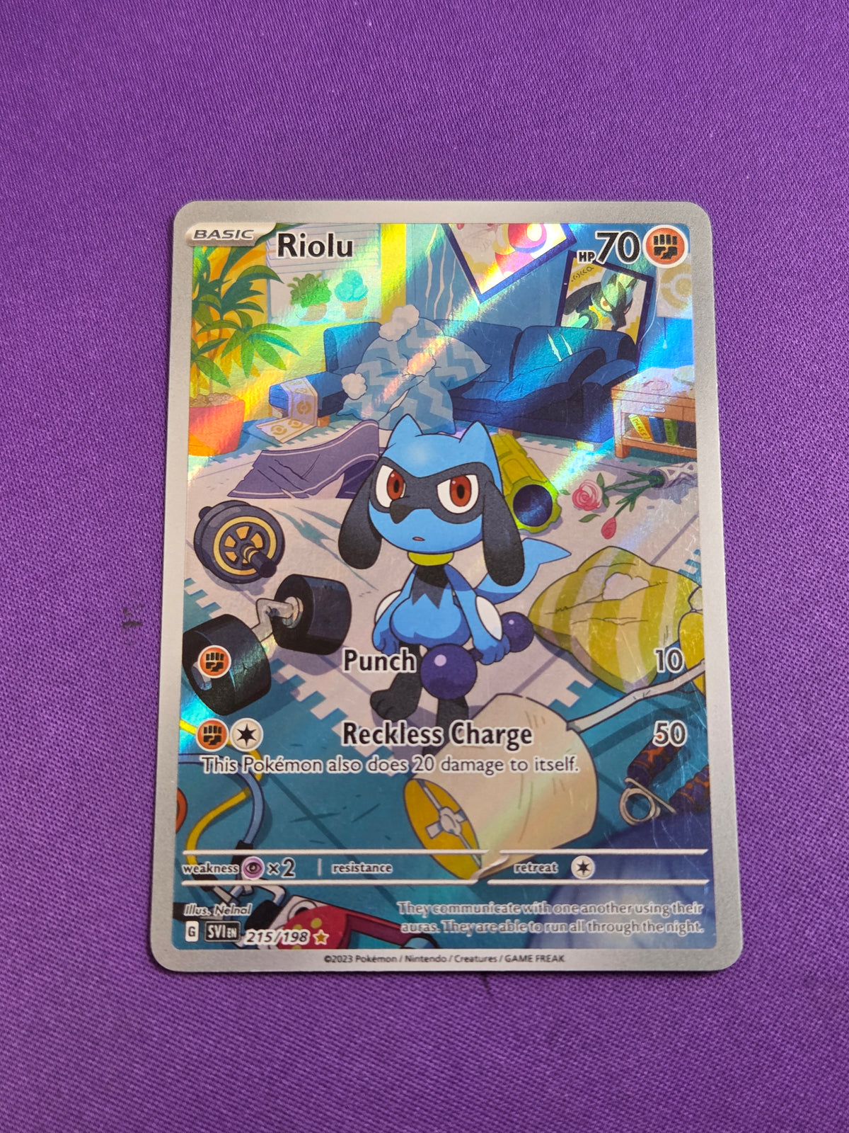 Riolu - 215/198 Illustration Rare Holofoil (Cabinet-NM)