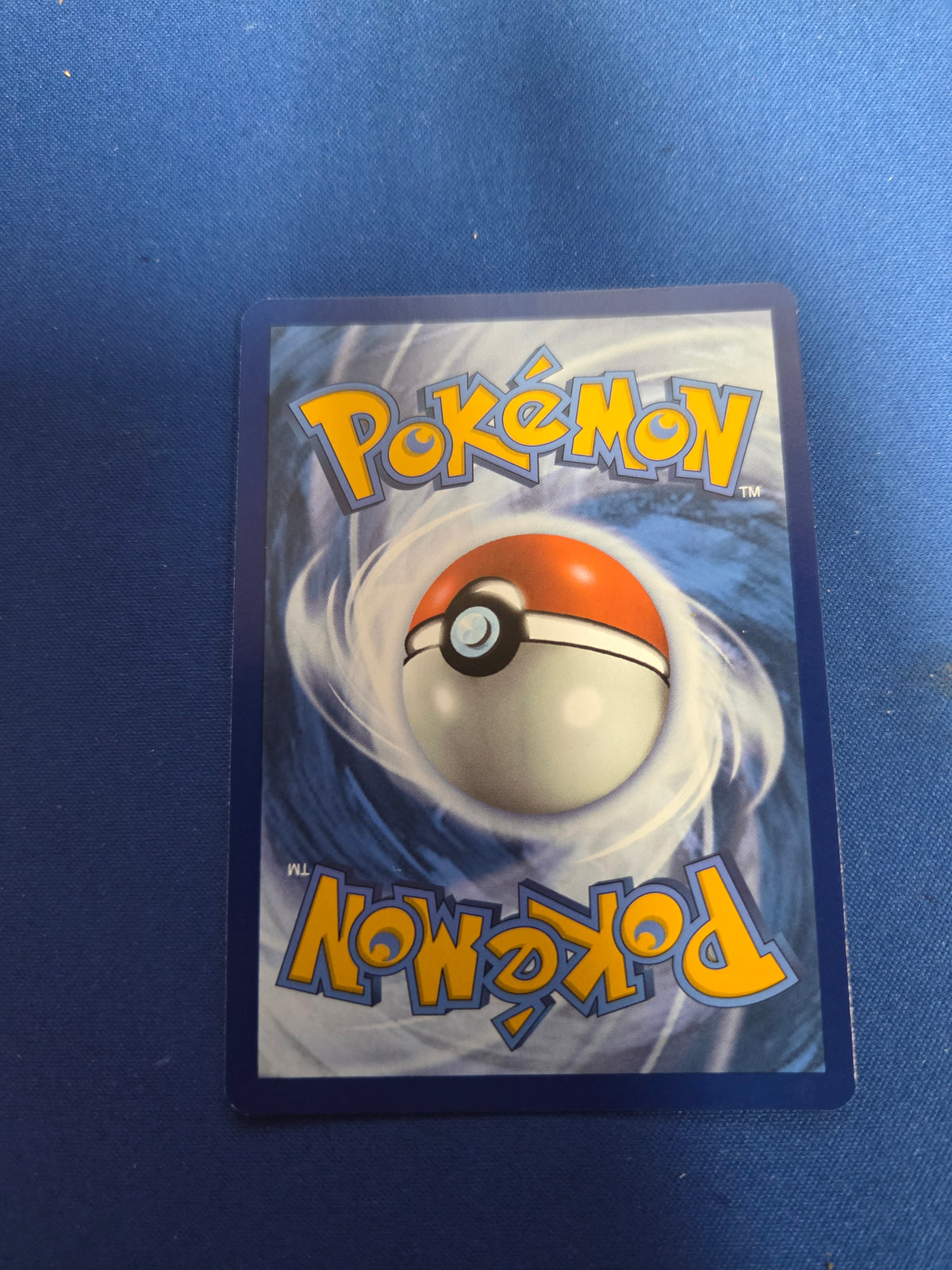 Squirtle - 170/165 (170) Illustration Rare Holofoil (Cabinet-NM)