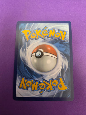 Wartortle - 171/165 (171) Illustration Rare Holofoil (Cabinet-NM)