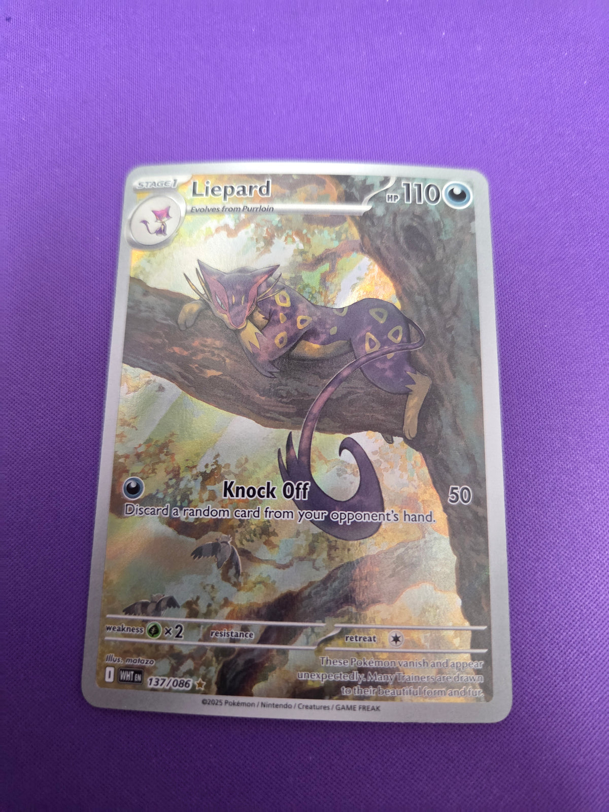 Liepard - 137/086 (137) Illustration Rare Holofoil (Cabinet-NM)