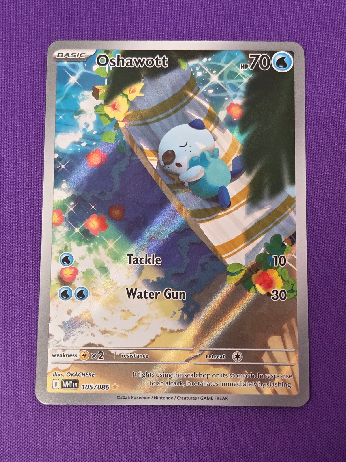 Oshawott - 105/086 (105) Illustration Rare Holofoil (Cabinet-NM)