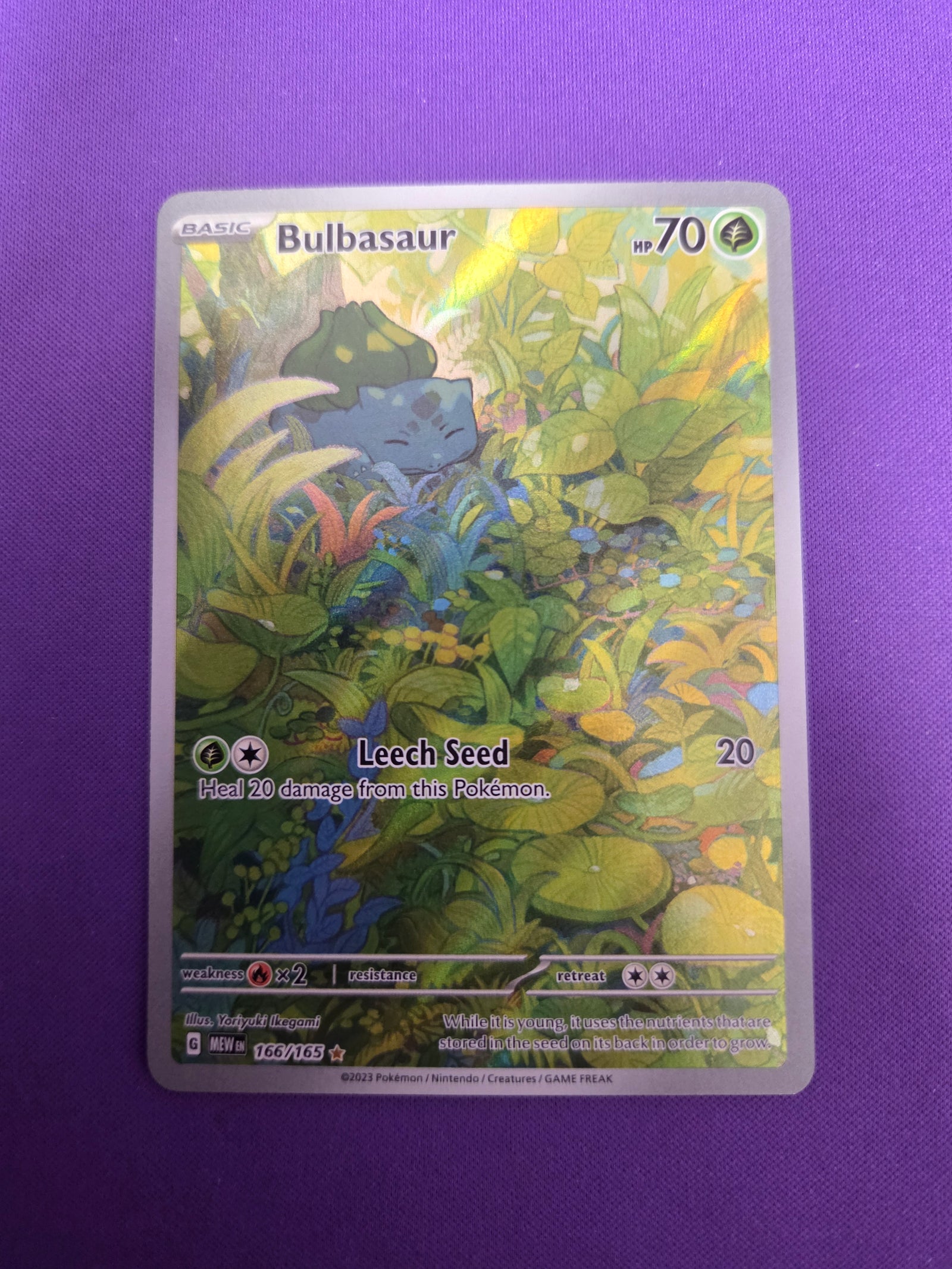 Bulbasaur - 166/165 (166) Illustration Rare Holofoil (Cabinet-NM)