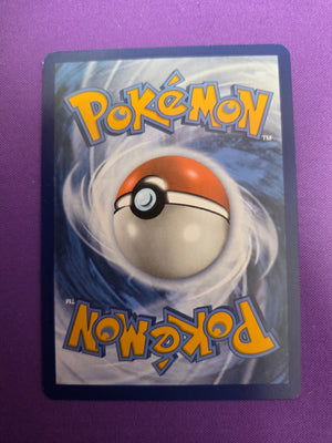 Venusaur ex - 198/165 (198) Special Illustration Rare Holofoil (Cabinet-NM)