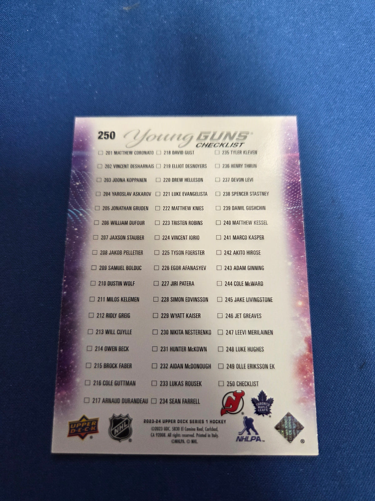 Luke Hughes and Matthew Knies young guns checklist #250 (cabinet-NM)