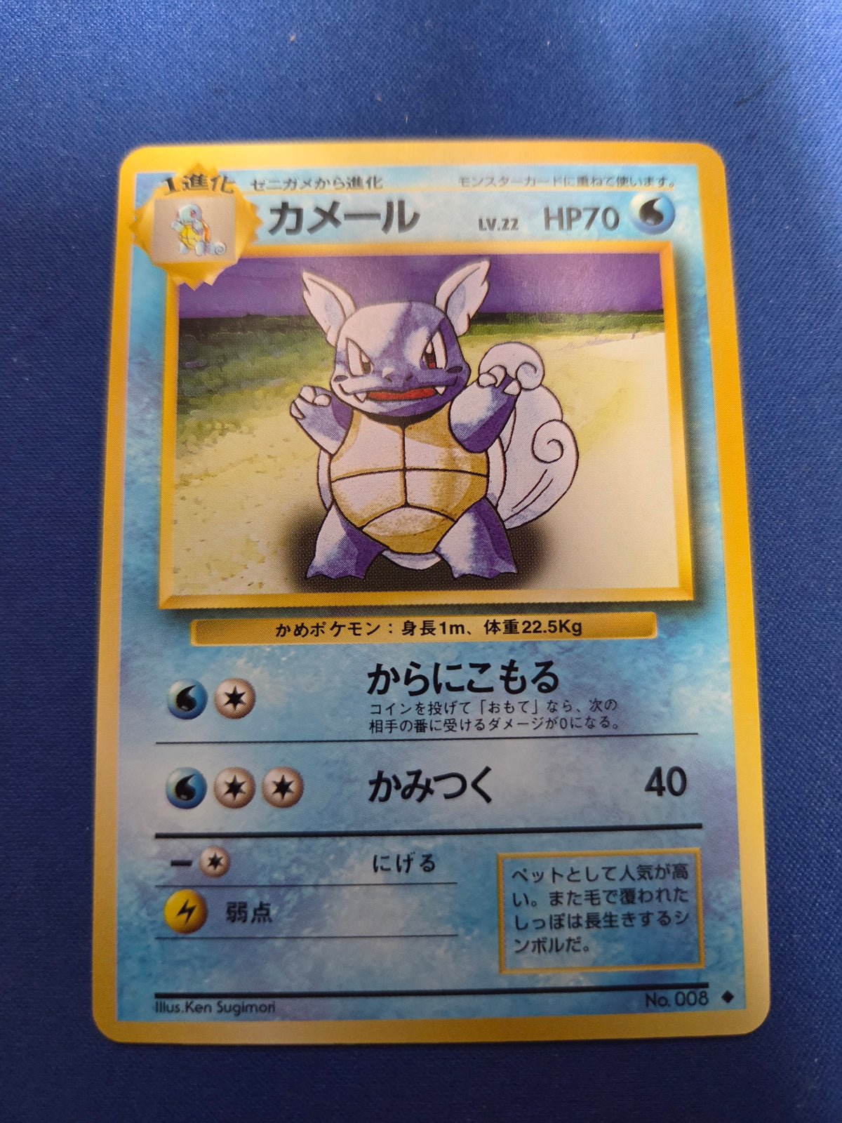Wartortle #8 Japanese Base Set (Cabinet-NM)
