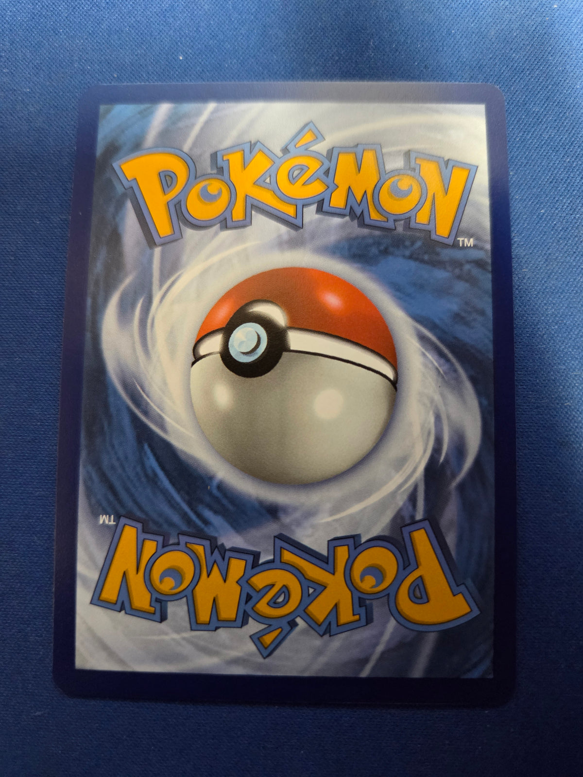 Squirtle (148) Illustration Rare Holofoil (Cabinet-NM)