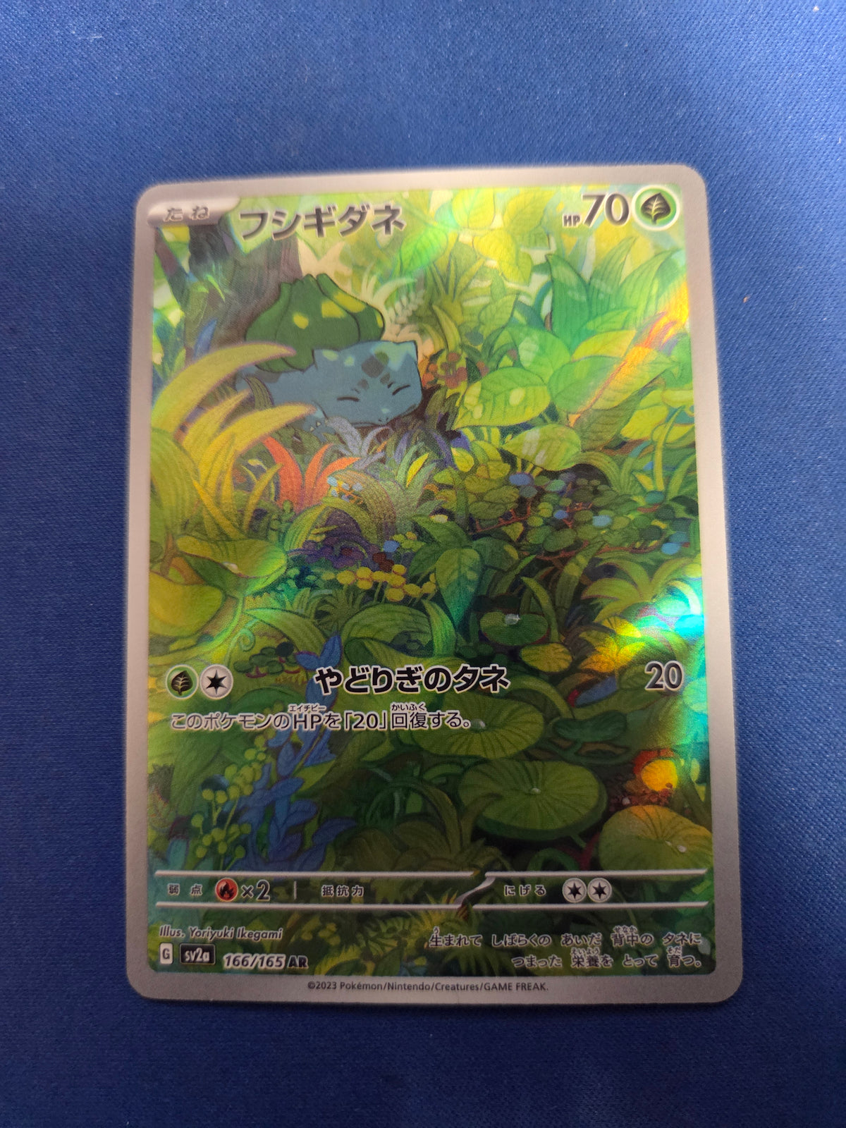 Bulbasaur - 166/165 Japanese Illustration Rare Holofoil (Cabinet-NM)