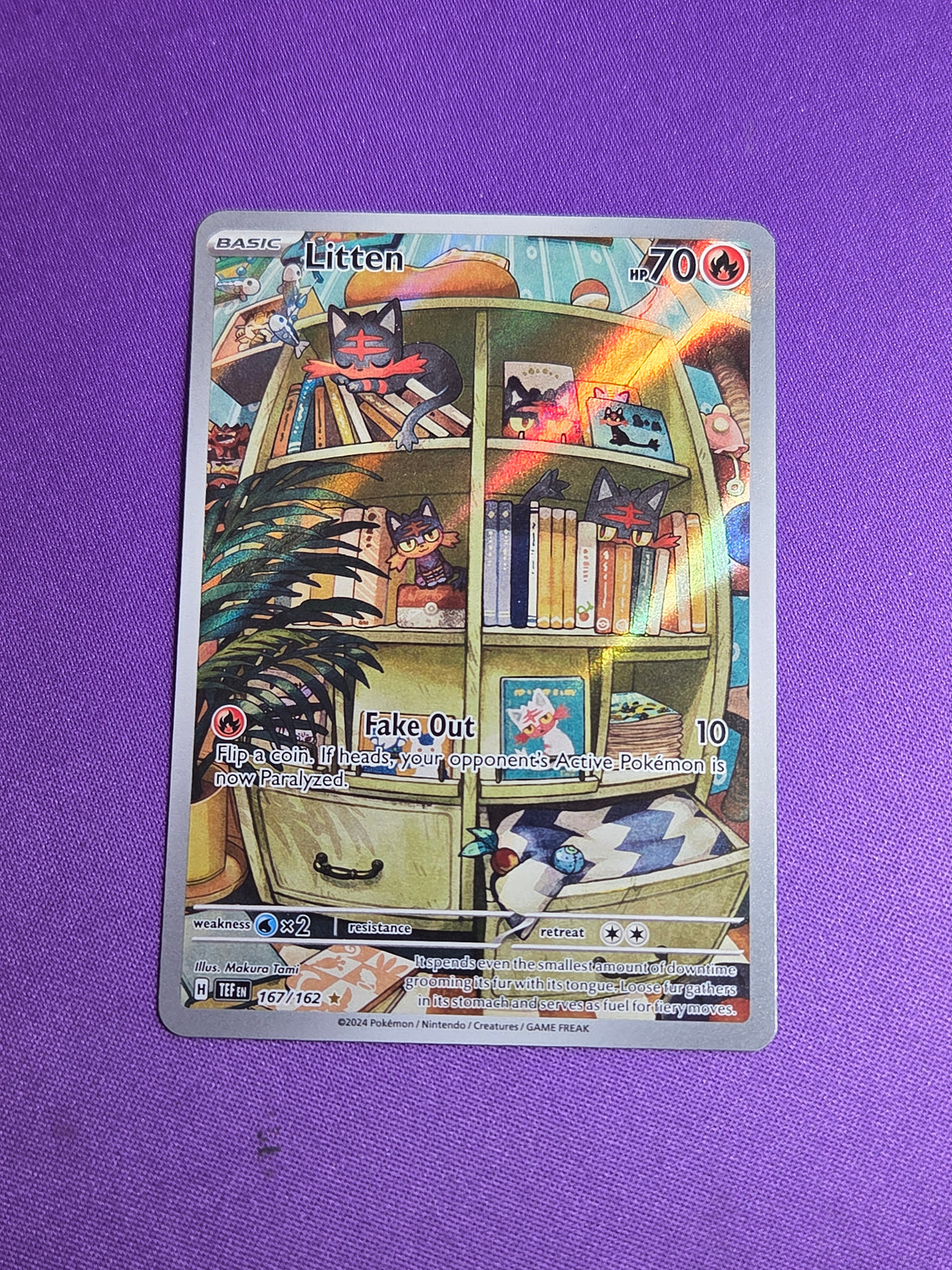 Litten - 167/162 Illustration Rare Holofoil (Cabinet-NM)