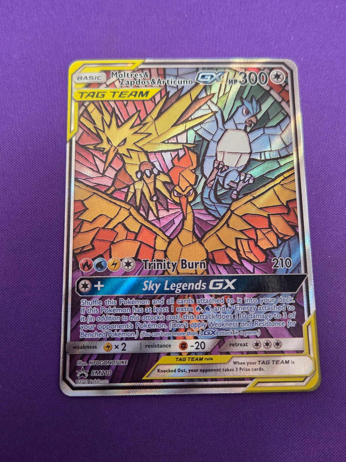 Moltres & Zapdos & Articuno GX (SM210)/248 Promo Holofoil (Cabinet-NM)
