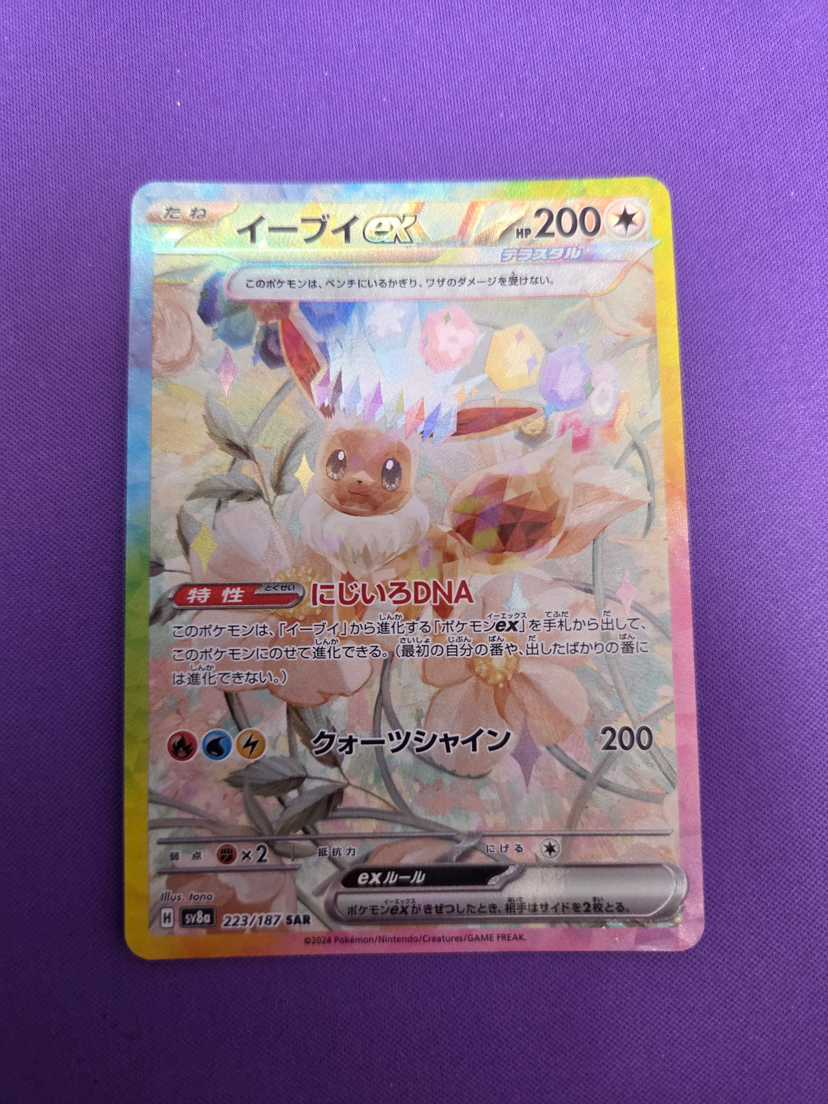 Eevee #223 JPN Terestal Festival SIR (Cabinet-NM)