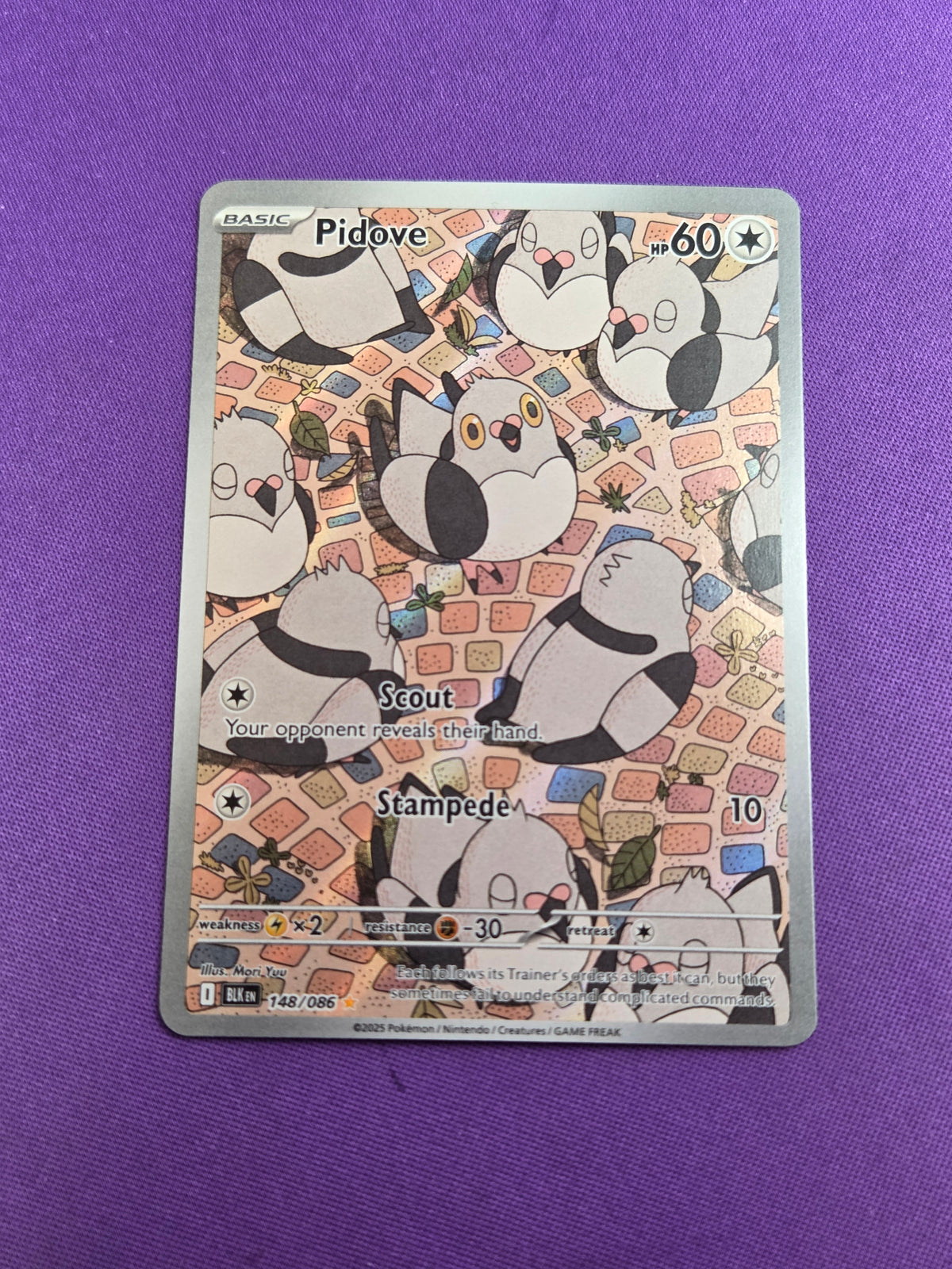 Pidove - 148/086 Illustration Rare Holofoil (Cabinet-NM)