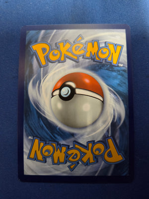Groudon - 199/182 (199) Illustration Rare Holofoil (Cabinet-NM)