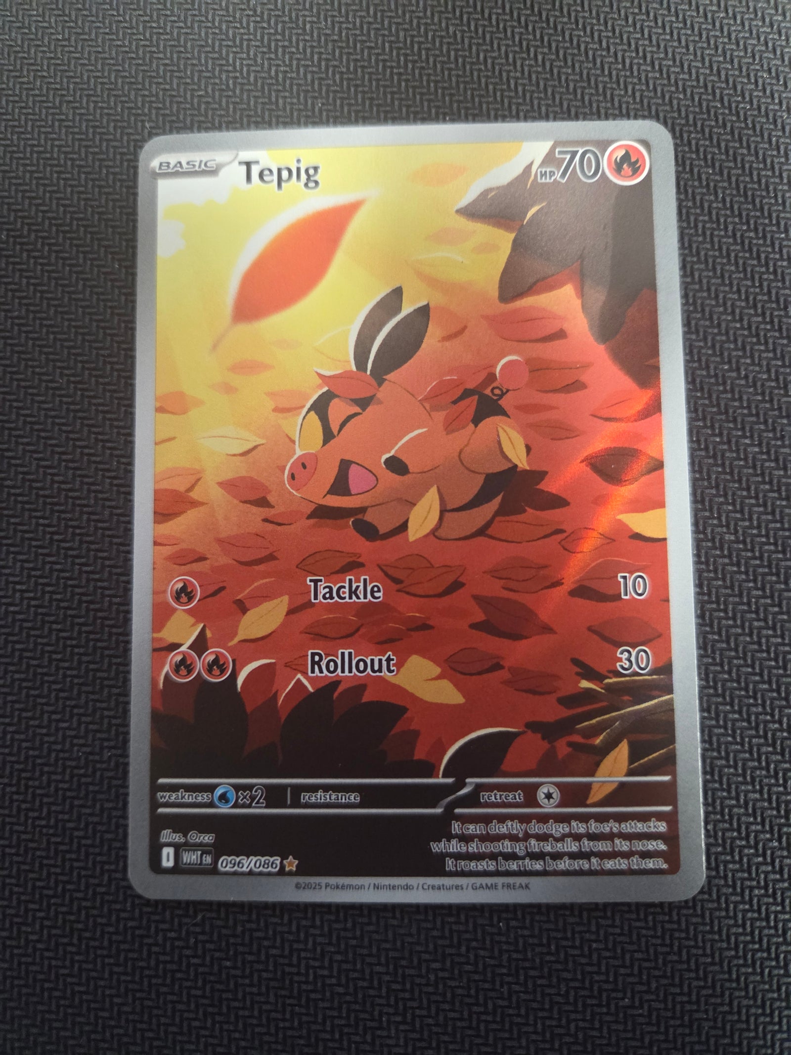 Tepig - 096/086 (96) Illustration Rare Holofoil (Cabinet-NM)