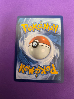 Squirtle - 170/165 S&V 151  IR (Cabinet-NM)